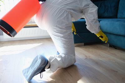 Fumigation Service in Naperville, IL