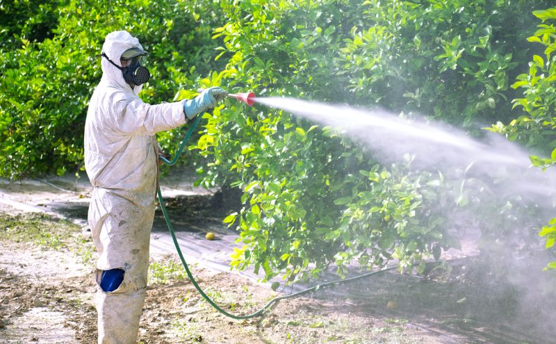 Fumigation Service in San Jose, CA