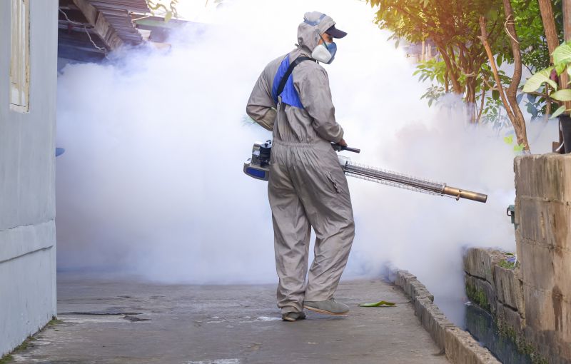 Mosquito Control Service in Rockwall, TX