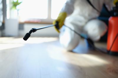 Pest Fumigation Service in Marietta, GA