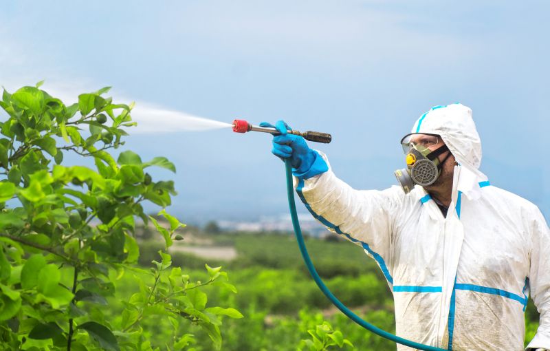 Spider Fumigation Service in Myrtle Beach, SC