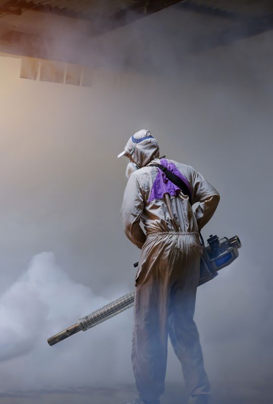 Spider Fumigation Service in Gwinnett County, GA