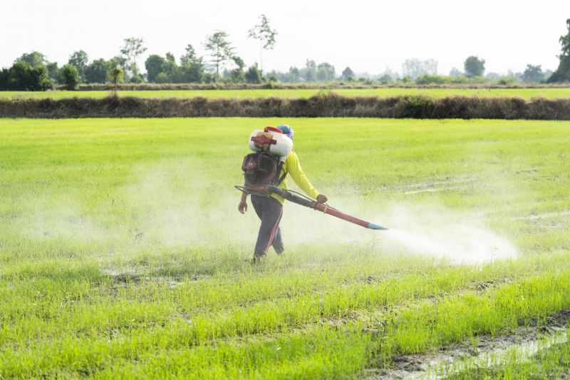 Stored Product Pests