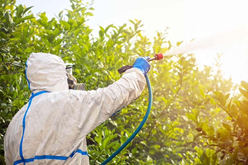 Pest Fumigation Service in San Jose, CA