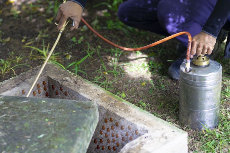 Roach Fumigation in Woodbridge, VA