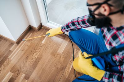 Spider Control Service in Mckinney, TX