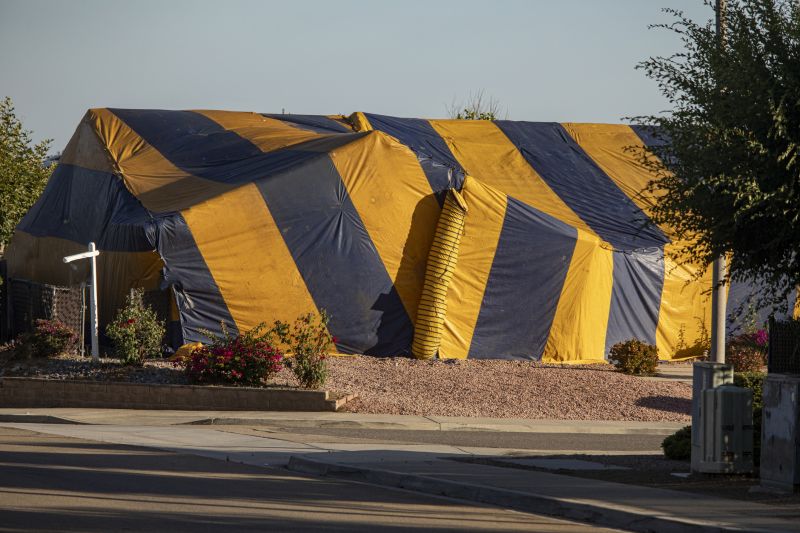 Termite Tenting in Wilmington, DE