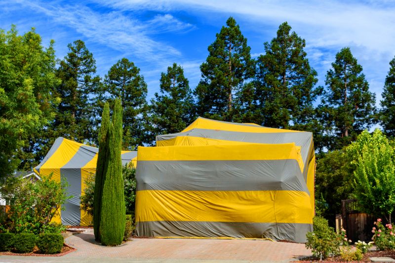 Termite Tenting in Fort Collins, CO